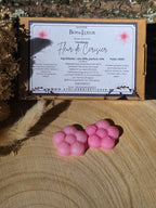 Fondants parfumés Fleur de cerisier – 50 g